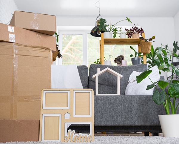 person carrying a mattress from a delivery van with a focus on comfortable sleeping options and mattress sizes including 8 inch